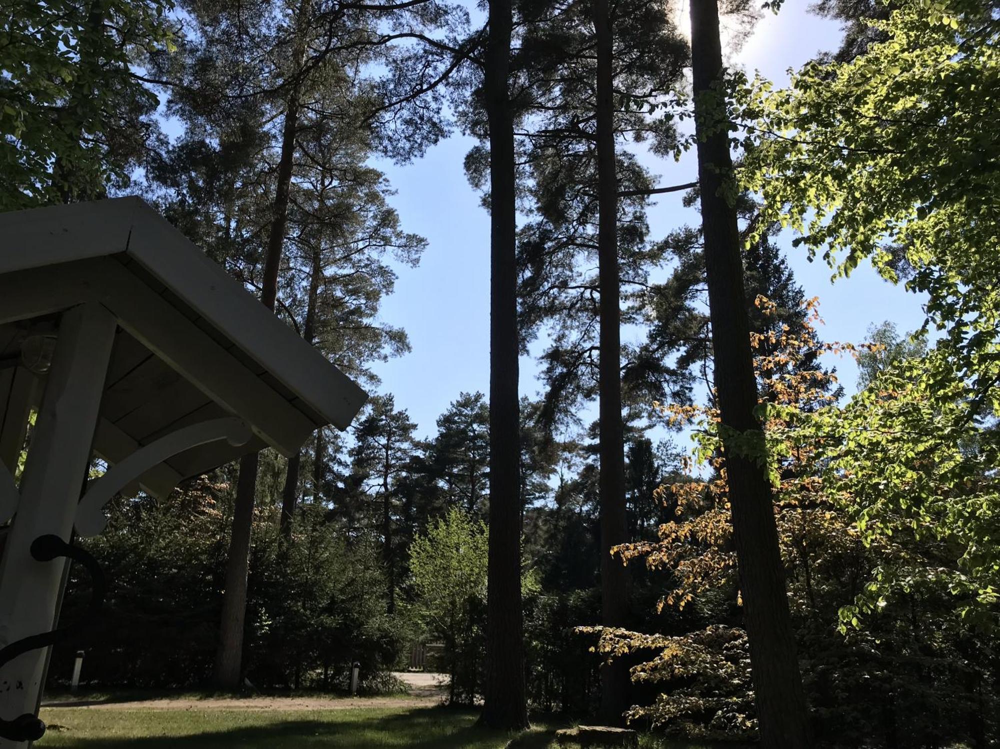 Nordic Relax House - Woodhouse Sjöbo Exterior foto